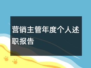 营销主管年度个人述职报告
