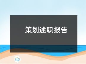 策划述职报告