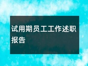 试用期员工工作述职报告