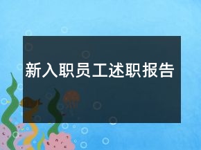 新入职员工述职报告