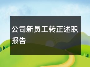 公司新员工转正述职报告