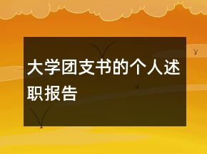 大学团支书的个人述职报告