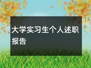 大学实习生个人述职报告