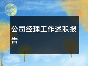 公司经理工作述职报告
