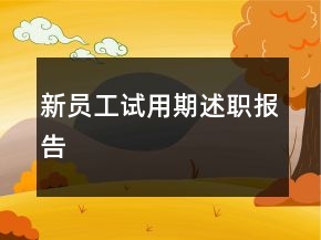 新员工试用期述职报告