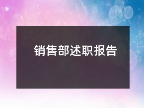 销售部述职报告
