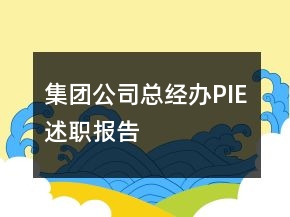集团公司总经办PIE述职报告