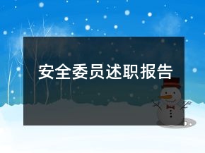 安全委员述职报告