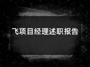 飞项目经理述职报告