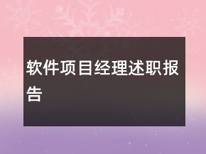 软件项目经理述职报告
