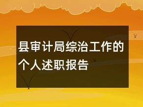 县审计局综治工作的个人述职报告