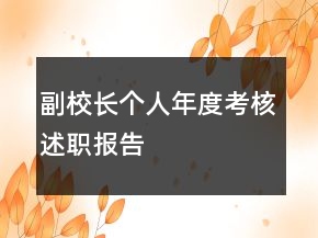 副校长个人年度考核述职报告