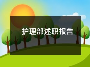 护理部述职报告