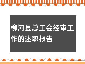 柳河县总工会经审工作的述职报告