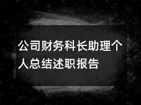 公司财务科长助理个人总结述职报告