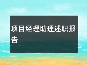 项目经理助理述职报告