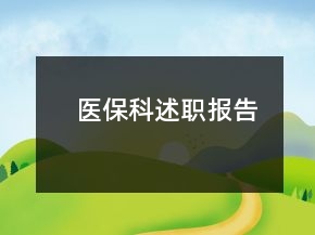 医保科述职报告