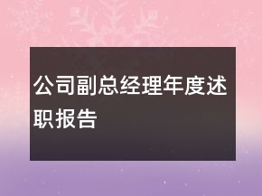 公司副总经理年度述职报告