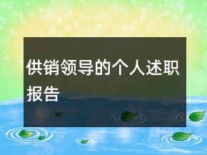 供销领导的个人述职报告