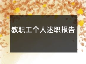 教职工个人述职报告