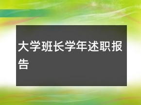大学班长学年述职报告
