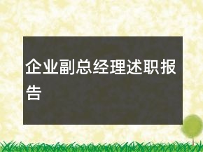 企业副总经理述职报告