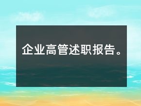 企业高管述职报告。