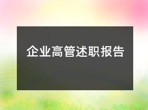 企业高管述职报告