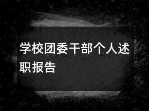 学校团委干部个人述职报告
