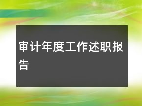 审计年度工作述职报告