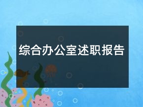 综合办公室述职报告