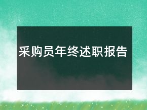 采购员年终述职报告