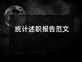 统计述职报告范文
