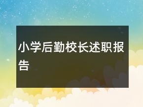 小学后勤校长述职报告