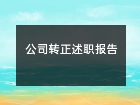 公司转正述职报告