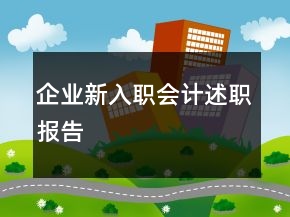 企业新入职会计述职报告