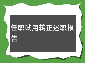 任职试用转正述职报告