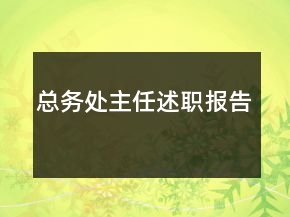 总务处主任述职报告