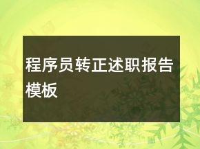 程序员转正述职报告模板