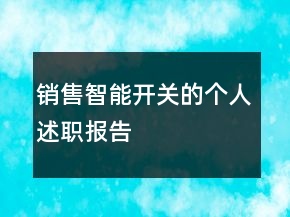 销售智能开关的个人述职报告