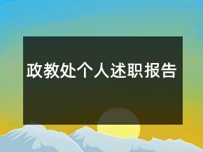政教处个人述职报告