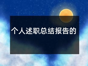 个人述职总结报告的