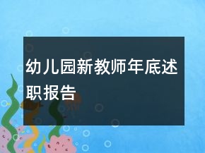 幼儿园新教师年底述职报告