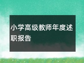 小学高级教师年度述职报告