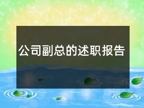 公司副总的述职报告