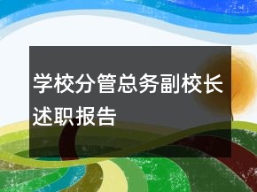 学校分管总务副校长述职报告