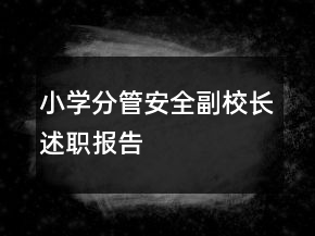 小学分管安全副校长述职报告