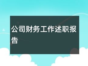 公司财务工作述职报告