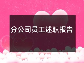 分公司员工述职报告