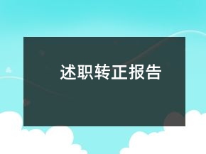 述职转正报告